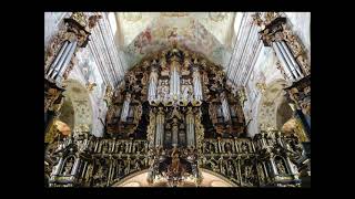 Purcell Trumpet Voluntary Leżajsk Organ [upl. by Custer]