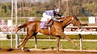 1993 Breeders Cup Classic  Arcangues  Post Race amp WrapUp [upl. by Manoop962]