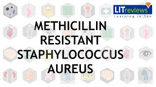 Methicillin Resistant Staphlococcus Aureus Infections [upl. by Tris]