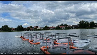 How to make a lowcost Mesocosm [upl. by Nesiaj]