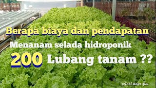 Estimasi biaya produksi dan keuntungan menanam sayur hidroponik [upl. by Yrollam]