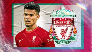 LUIS DIAZ  Welcome to Liverpool  Insane Goals Skills amp Assists  2022 [upl. by Ahsurej633]