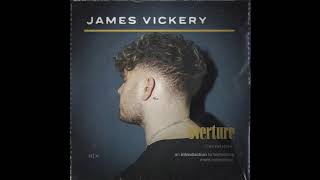 James Vickery  Perfect Company  Official Audio [upl. by Carmina]