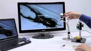 DinoLite AM2011 handheld digital microscope [upl. by Anahsor123]