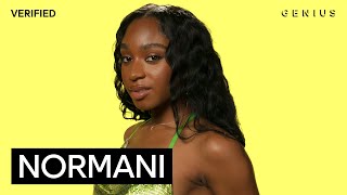 Normani “Wild Side” Official Lyrics amp Meaning  Verified [upl. by Ivzt]