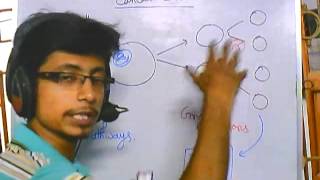 Cancer biology part 1 Introduction [upl. by Samp]