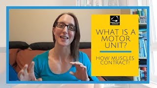 What is a Motor Unit How muscles contract [upl. by Bennett]