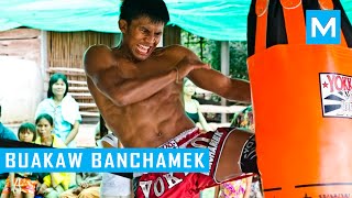 Buakaw Banchamek Hardcore Muay Thai Training  Muscle Madness [upl. by Astrahan987]