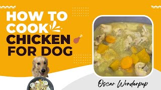 How to cook Chicken for Dogs [upl. by Mayberry]