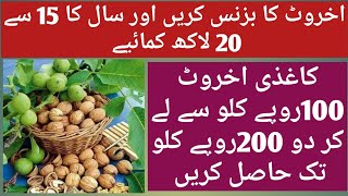 Akhrot business in pakistanDry Fruits wholesale business in pakistan [upl. by Thorndike969]