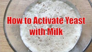 How to Activate Yeast with Milk [upl. by Pleasant]