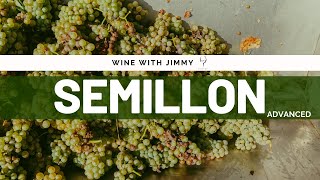 Grape Varieties  Semillon Advanced Version ideal for WSET Level 3 and Level 4 WSET Diploma [upl. by Prochoras26]