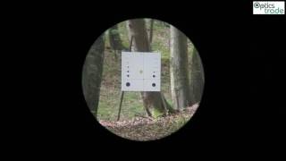 Sightron SIII 624x50 LR reticle TDot subtensions [upl. by Jocelin110]