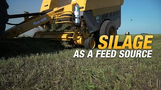 Silage as a feed source using Vermeer Pro balers [upl. by Ramraj]