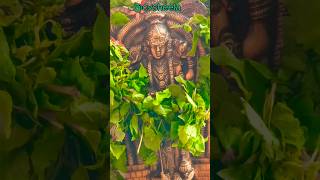 Krishna Devotionalsongs youtube youtubeshorts shorts [upl. by Eizle]