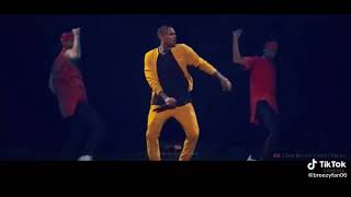 Chris brownpills and automobiles live perfomance [upl. by Salamone740]