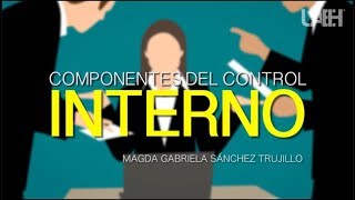 Componentes del Control Interno [upl. by Caesar]