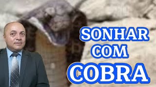 SONHAR COM COBRA [upl. by Hagar626]