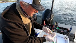 Multnomah Channel Spring Chinook Salmon Fishing [upl. by Ahsuoj547]