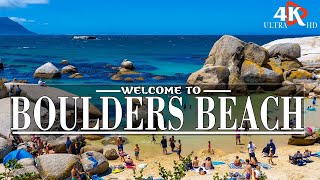 FLY OVER BOULDERS BEACH 4K✈Stunning Natural Scenery WUnbelievable Beauty Of Cape Town Relax Music🌞 [upl. by Gnep]