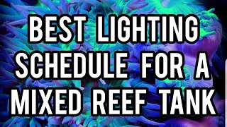 Mixed Reef Tank  Lighting Schedule [upl. by Manvell]