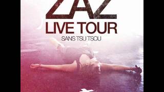 Zaz  La fée Live Tour 2011wmv [upl. by Ardnaskela]