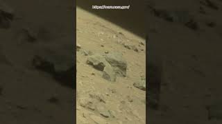 Perseverance Rover Sol 1302  Mars New 4k Video  Mars 4k Video  Mars In 4k  Mars shorts [upl. by Leiba]