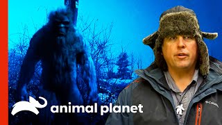 FIRST THE RAKE NOW BIGFOOT  Finding Bigfoot 1 [upl. by Etyam382]