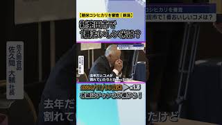 新発田市で1番おいしいコメは？新米コシヒカリを審査 news short ux新潟テレビ21 新潟 [upl. by Garrity]