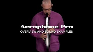 Roland Aerophone Pro Overview and Sounds [upl. by Nev]