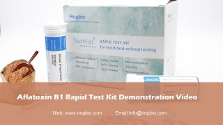 Training video for Ringbio Aflatoxin B1 Rapid Test Kit [upl. by Natka]