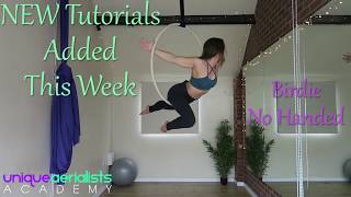 NEW Tutorials Added To Unique Aerialists Academy [upl. by Gretta]