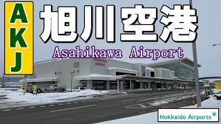 旭川空港  Asahikawa Airport [upl. by Peter]