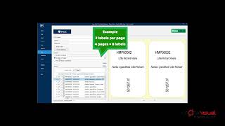 Nicelabel Controlling the Number of Print Labels [upl. by Anoyek]