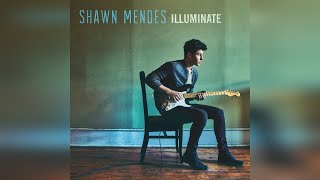 Shawn Mendes  Theres Nothing Holdin Me Back Official Audio [upl. by Lerual]