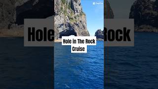 New Zealands Iconic Hole in the Rock CruiseA MustSee in Paihia [upl. by Eniamzaj25]