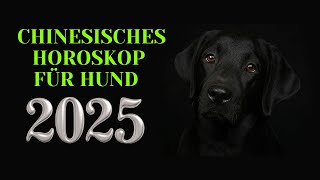 Hund  2025 Chinesisches Horoskop Das Jahr der grünen Schlange [upl. by Standice439]