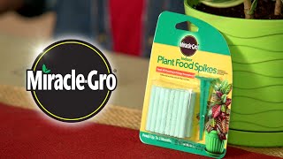 How to Feed Your Plants with MiracleGro® Plant Food Spikes [upl. by Ykvir]