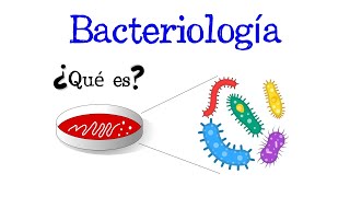 🦠 ¿Qué es la Bacteriología 🦠 Fácil y Rápido  BIOLOGÍA [upl. by Armilla62]