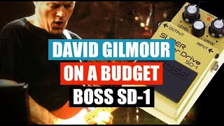 How to sound like David Gilmour on a budget  Boss SD1 [upl. by Eseerehc]