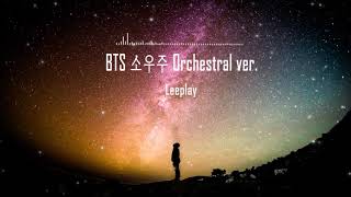 BTS 방탄소년단 소우주Mikrokosmos Orchestral cover [upl. by Swayder]