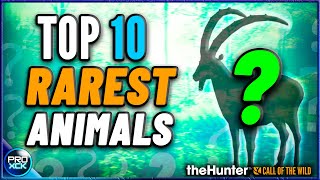 Top 10 RAREST Animals in Call of the Wild [upl. by Jaquenetta578]