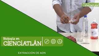 Extracción de ADN  CIENCIATLÁN [upl. by Novahs521]