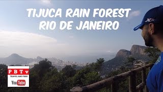 TIJUCA RAINFOREST RIO DE JANEIRO [upl. by Vanni]