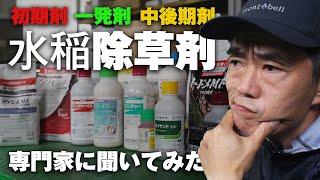 初期剤？ 一発剤？ 中後期剤？ 水稲除草剤のキホンについてスペシャリストに聞いてみた [upl. by Antrim]