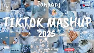 Tiktok Mashup January 💙2025💙 Not Clean [upl. by Adlare]