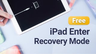 Free How to Put iPad in Recovery Mode 2024 withwithout Home Button [upl. by Morven]