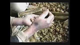 Masanobu Fukuoka Makes Seed Balls [upl. by Mccready72]