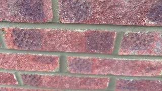 diy learn how to repoint brickwork half round finish tips and tricks [upl. by Belmonte766]