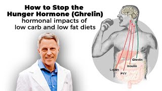 How to Stop Ghrelin the Hunger Hormone Hormonal Impacts of Low carb and Low Fat Diets [upl. by Chet]